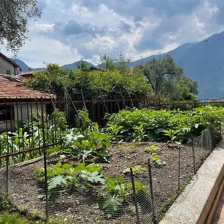 Ferienhaus Family House *